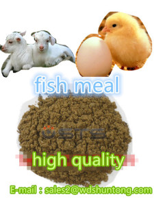 Fish Meal with High Protein