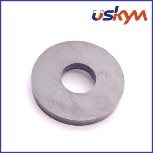 Round Samarium Cobalt Magnets (R-005)