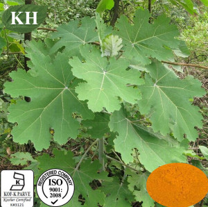 Natural Feed Additive Macleaya Cordata Extract Sanguinarine