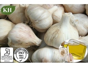 Garlic Oil/High Quality Garlic Oil CAS No.: 8000-78-0